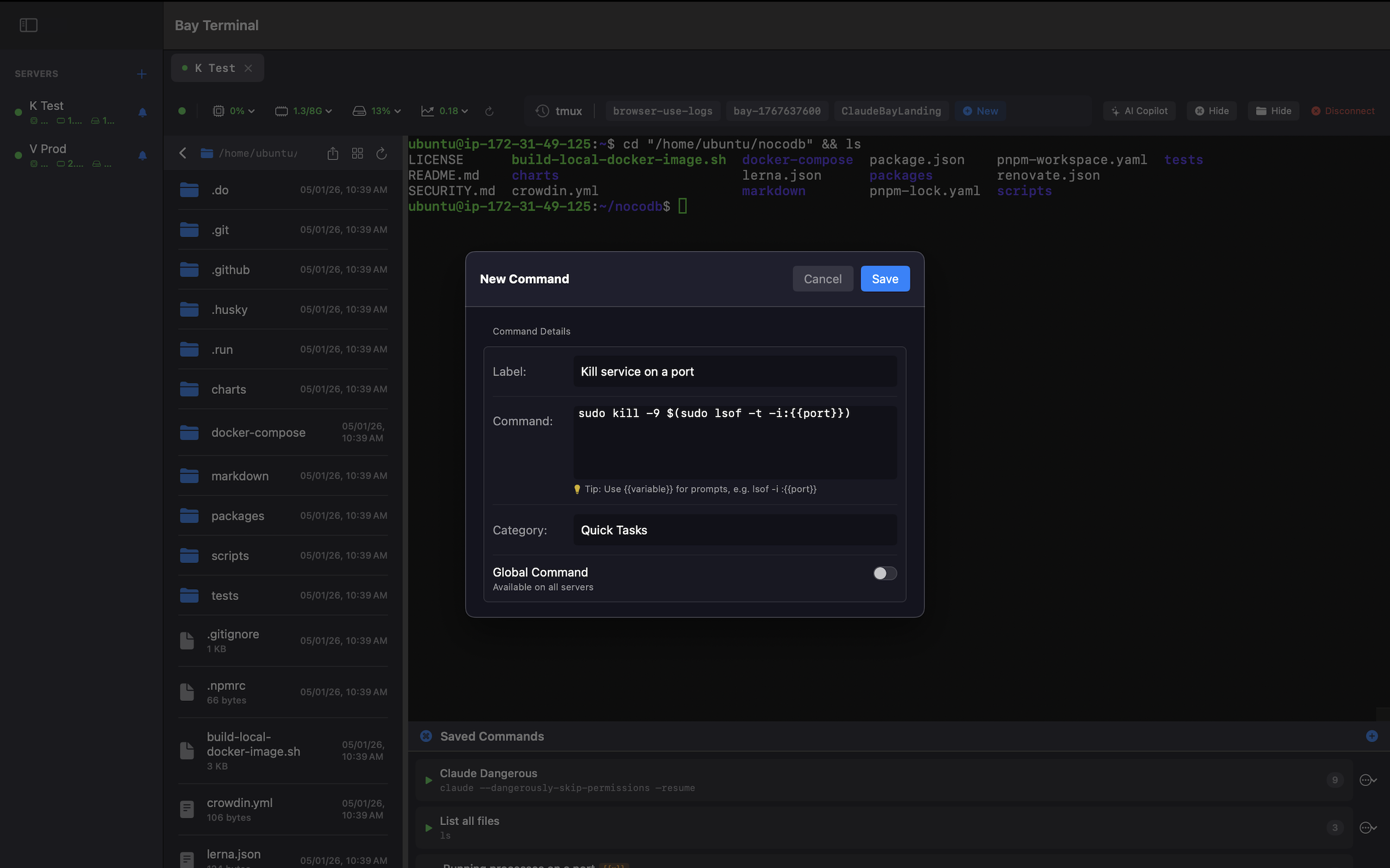 Saved commands panel showing parameterized command with variable input prompt