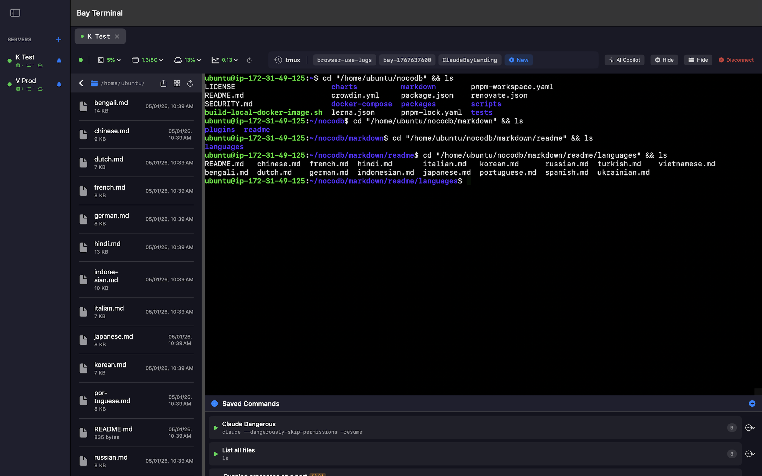 File explorer synced with terminal showing visual navigation